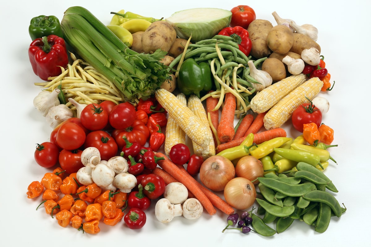 Professional nutrition guidance